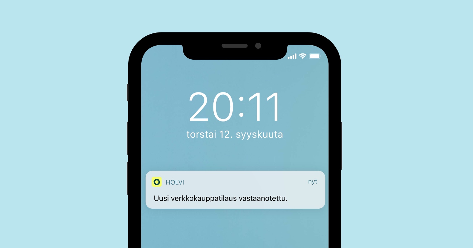 verkkokaupan-perustaminen-holvi